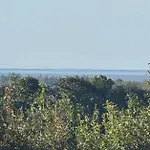 Skadshof Wo Leistung Auf Leidenschaft Trifft * 埃斯比约
