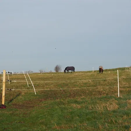Bed & Breakfast Skadshof Wo Leistung Auf Leidenschaft Trifft