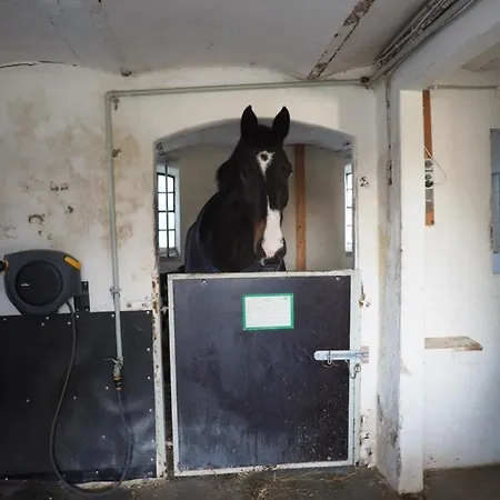 Skadshof Wo Leistung Auf Leidenschaft Trifft * 에스비에르