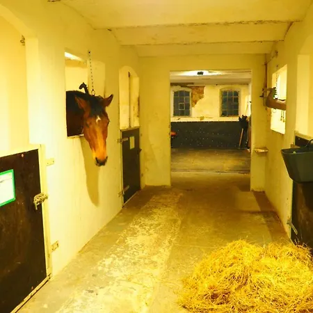 Skadshof Wo Leistung Auf Leidenschaft Trifft *