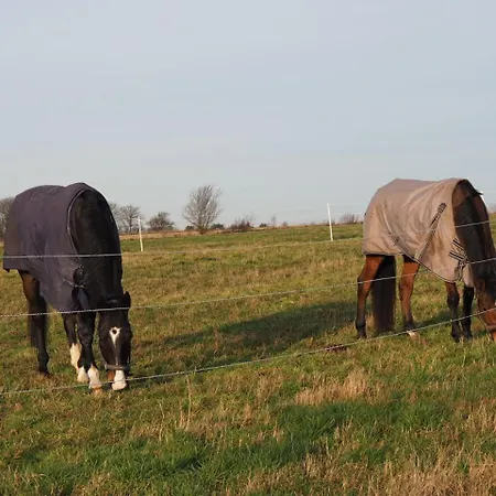 Skadshof Wo Leistung Auf Leidenschaft Trifft B&B *