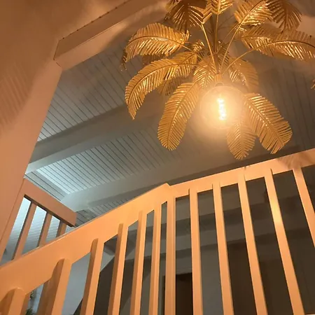 Skadshof Wo Leistung Auf Leidenschaft Trifft