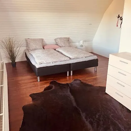 Skadshof Wo Leistung Auf Leidenschaft Trifft