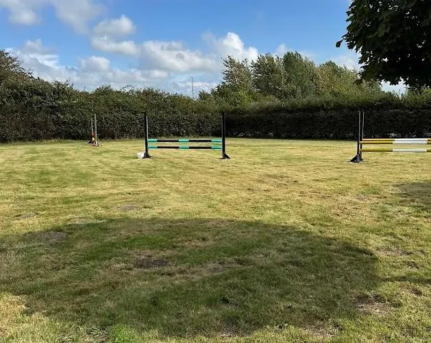 Skadshof Wo Leistung Auf Leidenschaft Trifft Frühstückspension Esbjerg