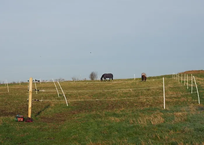 B&B Skadshof Wo Leistung Auf Leidenschaft Trifft