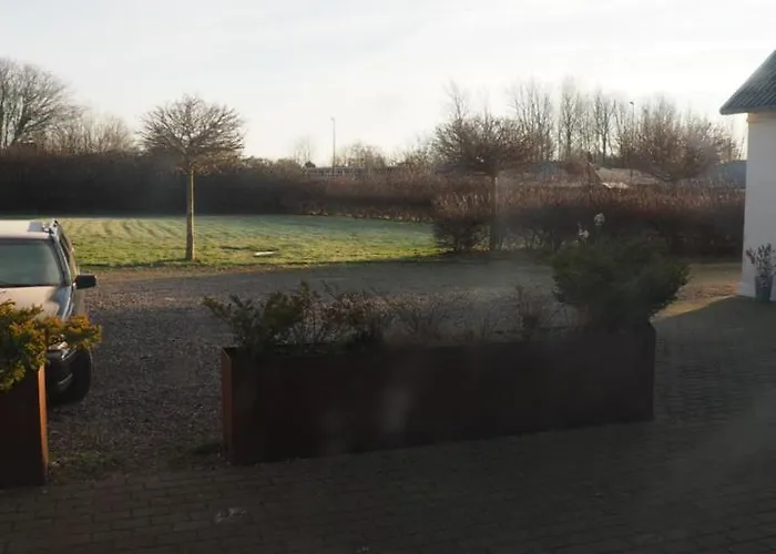 Skadshof Wo Leistung Auf Leidenschaft Trifft