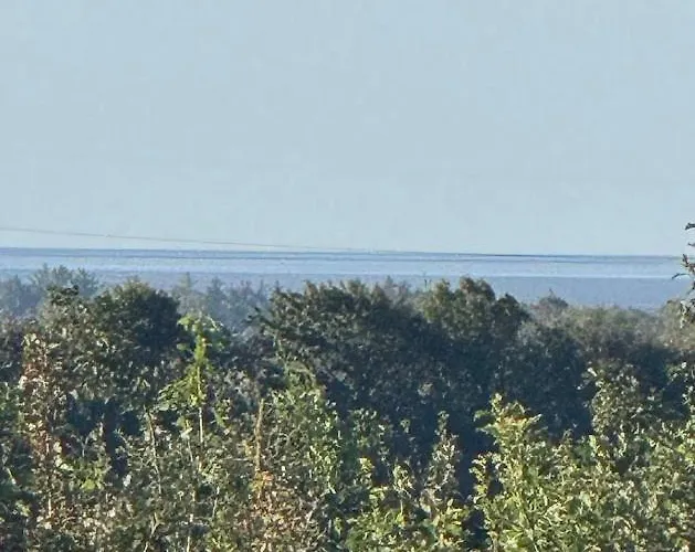 Skadshof Wo Leistung Auf Leidenschaft Trifft * 에스비에르