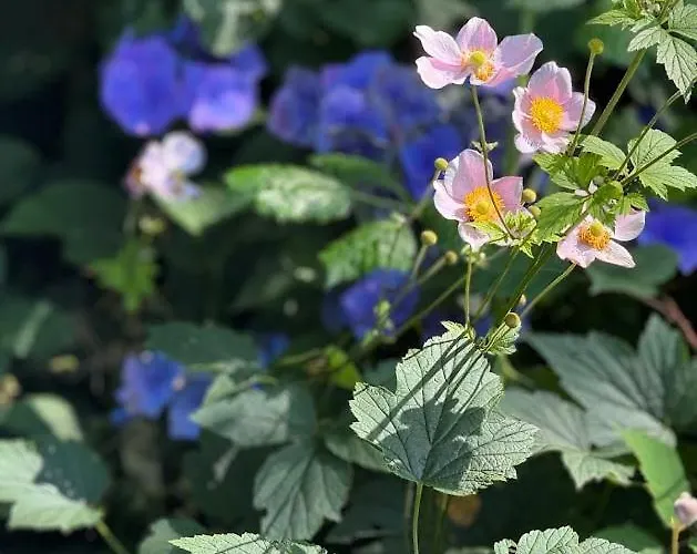 ベッド・アンド・ブレックファスト Skadshof Wo Leistung Auf Leidenschaft Trifft エスビャール