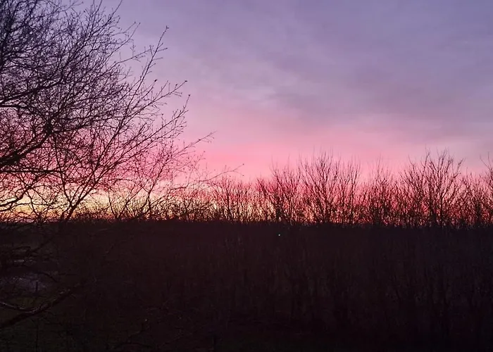 Skadshof Wo Leistung Auf Leidenschaft Trifft