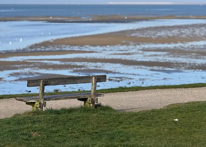 Skadshof Wo Leistung Auf Leidenschaft Trifft 에스비에르