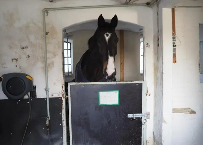 Skadshof Wo Leistung Auf Leidenschaft Trifft * Esbjerg
