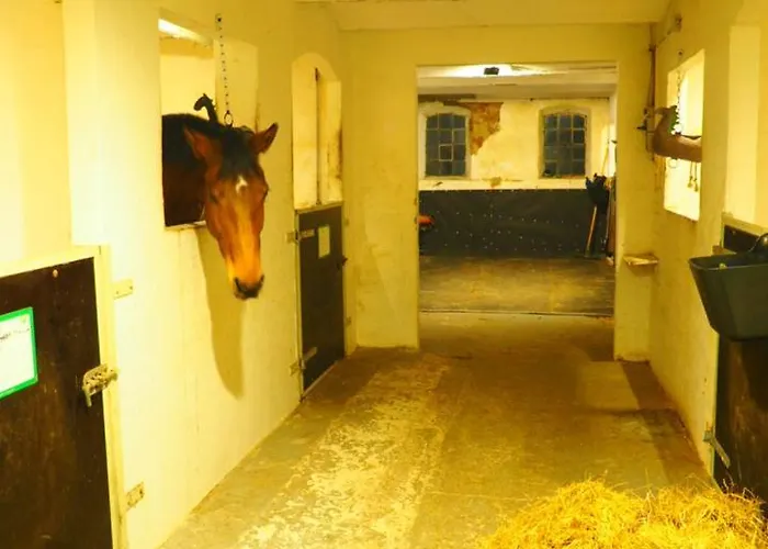 Skadshof Wo Leistung Auf Leidenschaft Trifft *