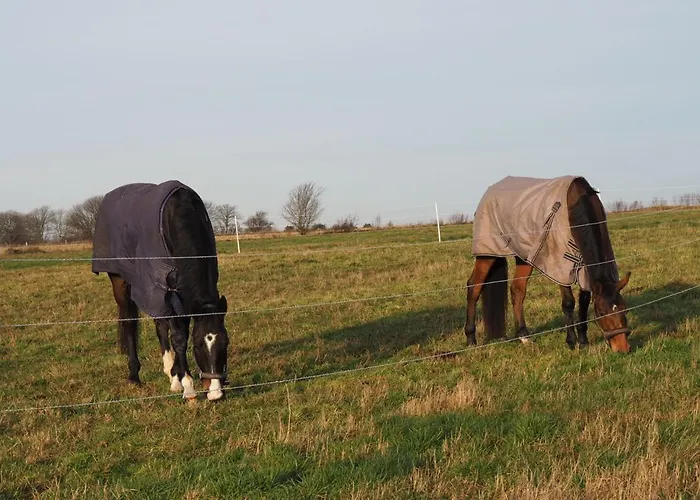 Skadshof Wo Leistung Auf Leidenschaft Trifft B&B *