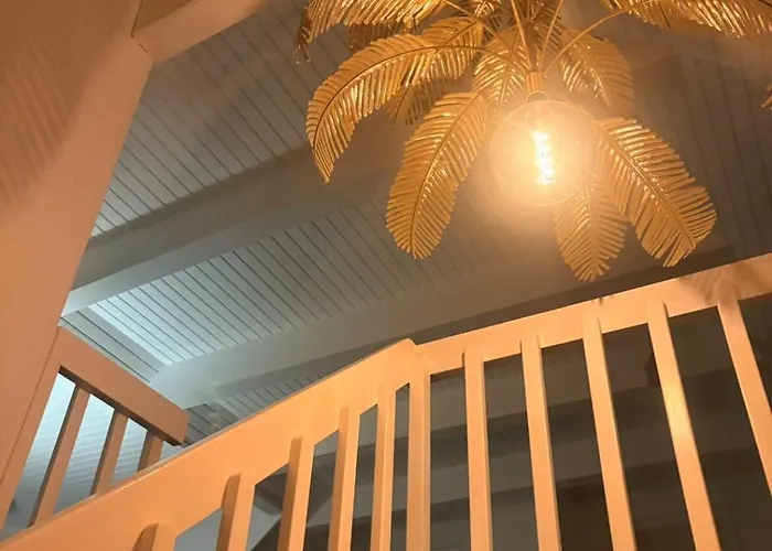 Skadshof Wo Leistung Auf Leidenschaft Trifft