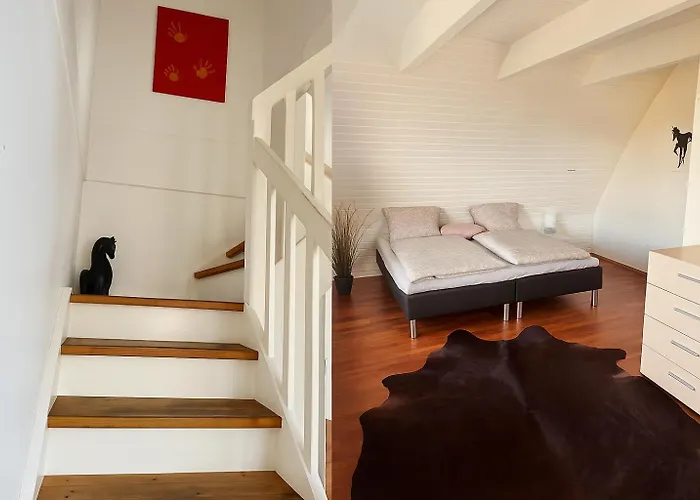 Skadshof Wo Leistung Auf Leidenschaft Trifft B&B 에스비에르