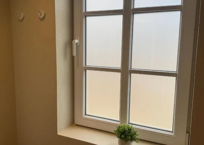 Skadshof Wo Leistung Auf Leidenschaft Trifft